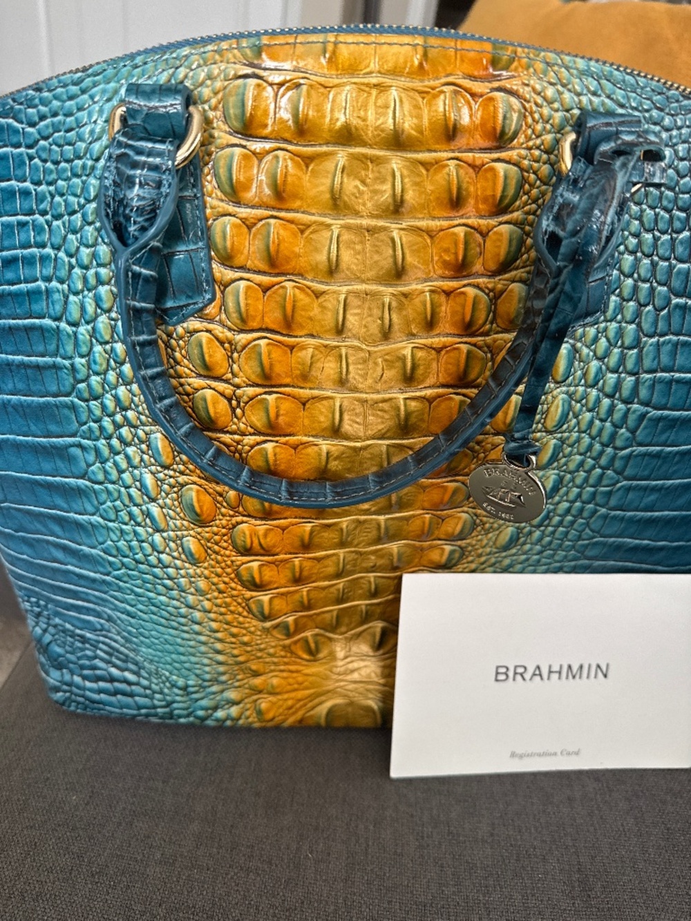 Brahmin Bag